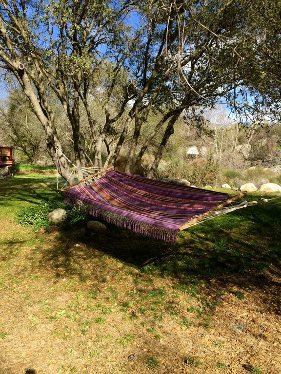 Kaweah Chakra Resort Трі-Риверс Номер фото
